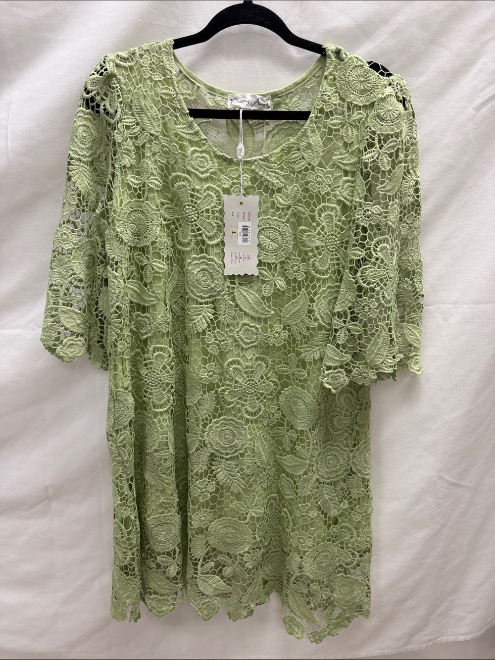 Pretty Angel Lace Shift Dress in Pale Green